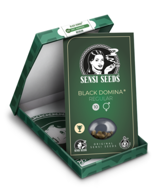 fem-black-domina-xl-5